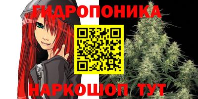 ешки Тверь