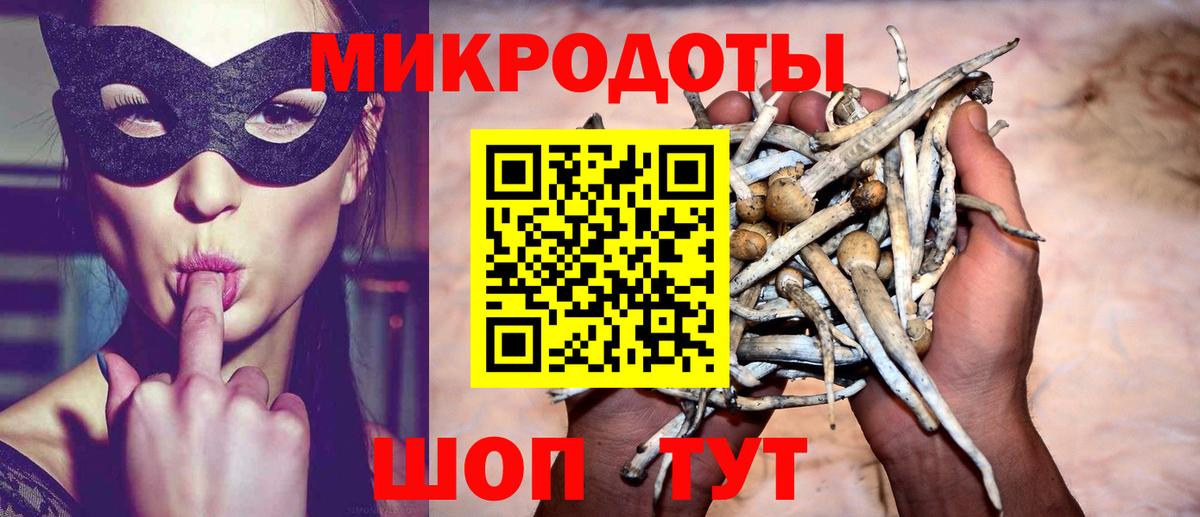 Галлюциногенные грибы Psilocybine cubensis Обь