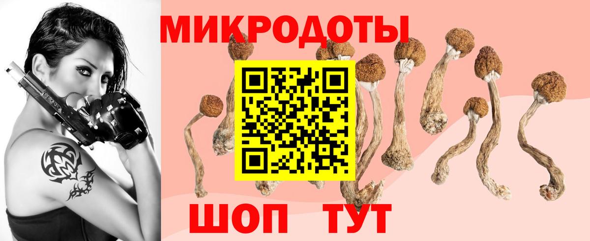 Псилоцибиновые грибы мицелий  Вход с VPN  Обь  Псилоцибиновые грибы прущие грибы 